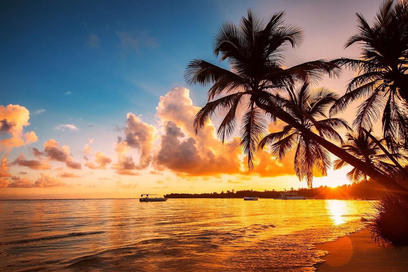 Andaman Slow Luxury Island Retreat (5D/4N) image