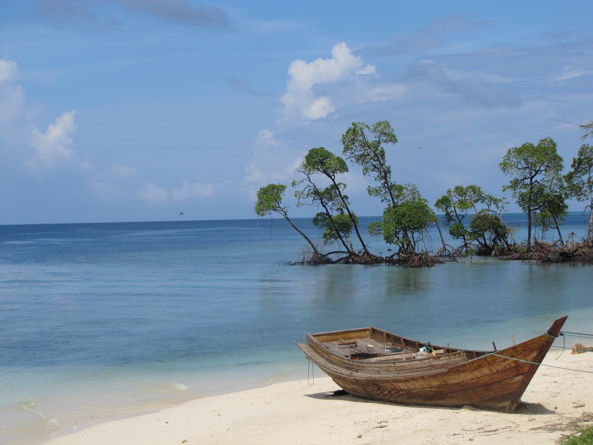 Andaman Nature & Island Life Tour (5D/4N) image