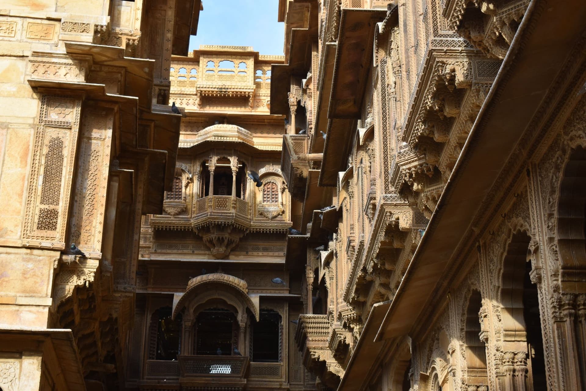 Complete Desert Safari + Tent Stay Package (per person) image