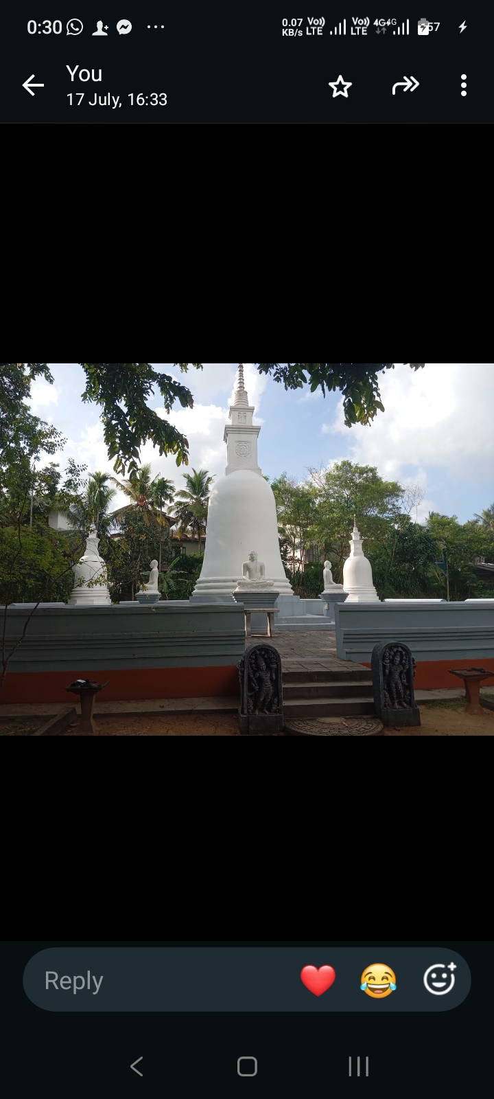 Review image 4