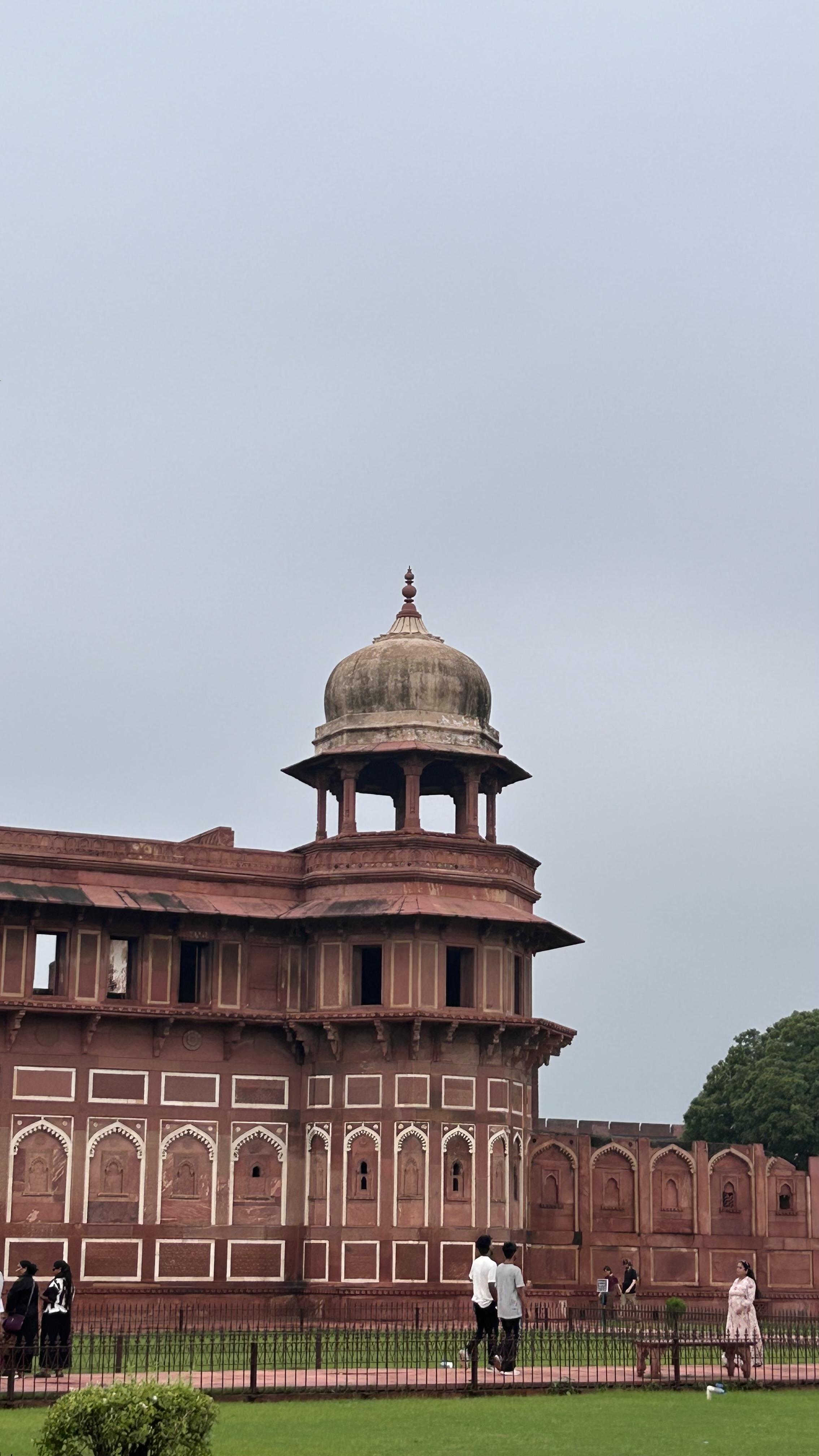 Review image 1
