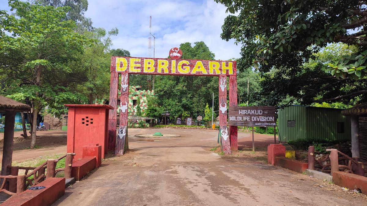 Review image 1